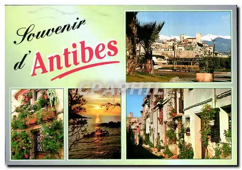 Cartes postales moderne Souvenir d'Antibes