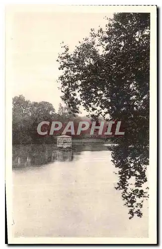 Cartes postales Chateau de Fontainebleau L'Etang des Carpes