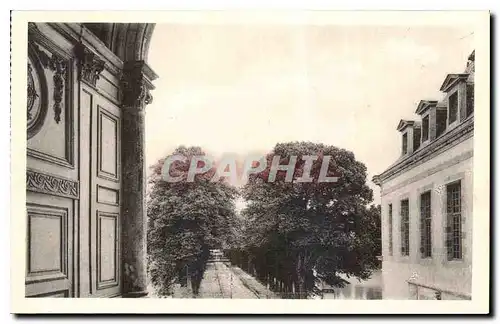 Cartes postales Parc du Chateau de Fontainebleau L'Allee de Maintenon