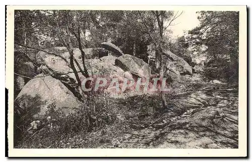 Ansichtskarte AK Foret de Fontainebeleau Les Gorges de Franchart