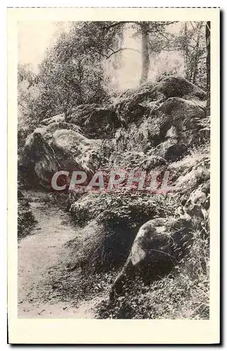 Cartes postales Foret de Fontainebleau La Roche Eponge