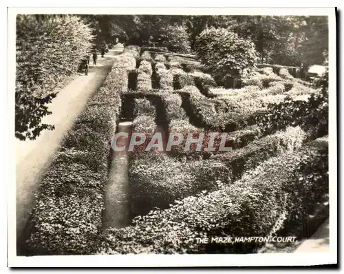 Cartes postales moderne The Maze Hampton Court