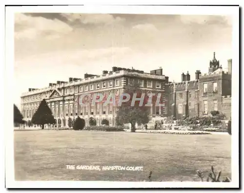 Cartes postales moderne The Gardens Hampton Court