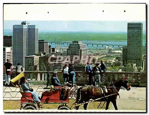 Cartes postales moderne Montreal Quebec Du Mont Royal