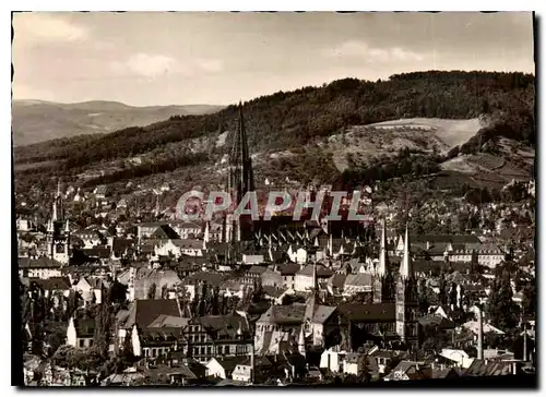 Cartes postales moderne Freiburg Br vom Lorettoberg aus
