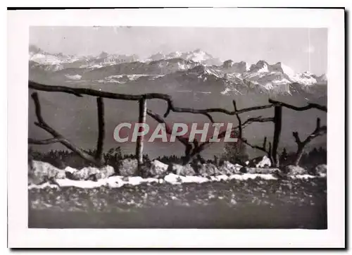 Cartes postales moderne Le Massif du Mont Blanc vu des Treize Arbres