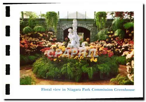 Cartes postales moderne Floral view in Niagara Park Commision Greenhouse