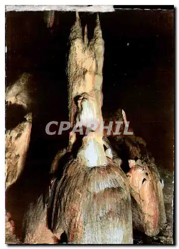 Cartes postales moderne Les Pyrenees Les Grottes de Betharram Le Minaret