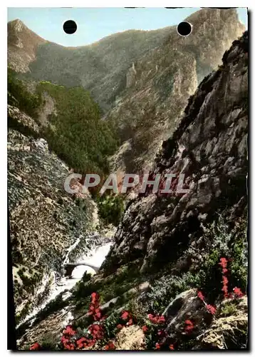 Cartes postales moderne Pont de Tusset