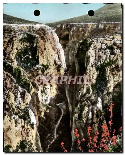 Cartes postales moderne Defile du Maugue