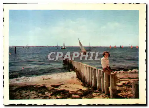 Cartes postales moderne Regates sur le Bassin