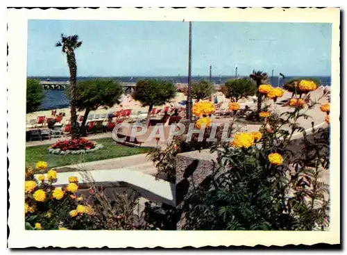 Cartes postales moderne Arcachon La Promenade