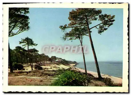 Cartes postales moderne La Plage des Abatilles Au fond la Corniche