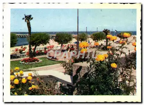 Cartes postales moderne Arcachon la promenade