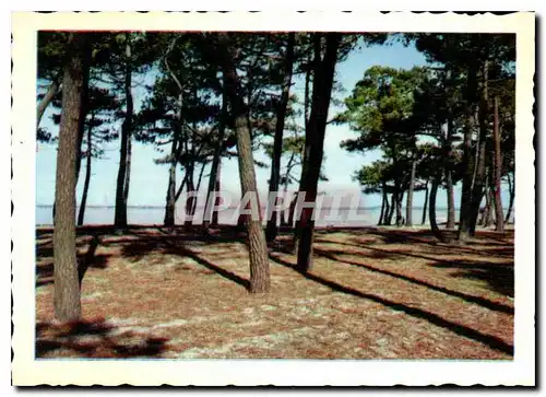 Cartes postales moderne La Pula sur mer la Plage Meller