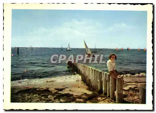 Cartes postales moderne Regates sur le Bassin