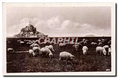 Cartes postales moderne Mont St Michel Greves du Mont St Michel les pres sales