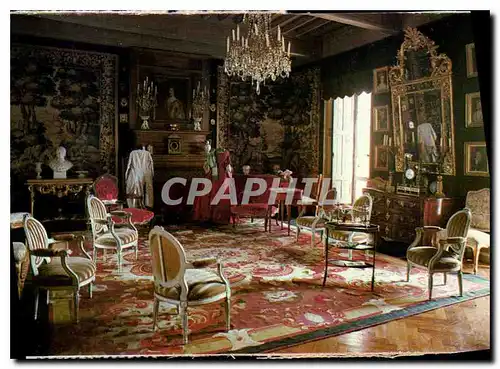 Cartes postales moderne Chateau du Bosc le grand Salon