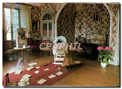 Cartes postales moderne Chateau du Bosc la Chambre du Peintre