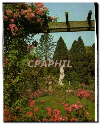 Ansichtskarte AK Insel Mainau im Bodensee Rosengarten Idyll mit einer der Vier Jahreszeiten Statuen