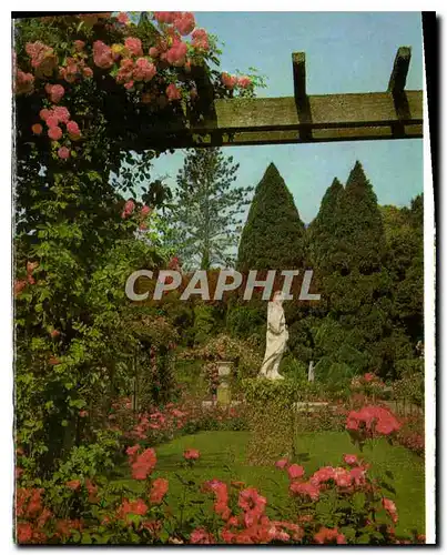 Cartes postales Insel Mainau im Bodensee Rosengarten Idyll mit einer der Vier Jahreszeiten Statuen