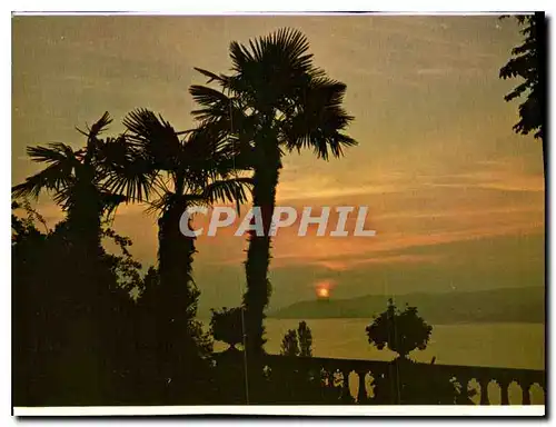 Cartes postales Insel Mainau im Bodensee Sonnenaufgang uber den Mainaugarten