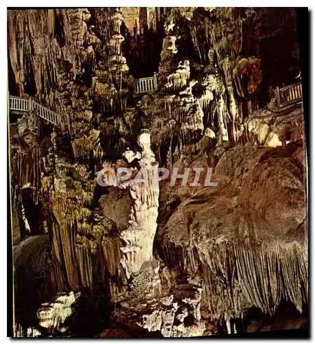 Cartes postales moderne La Falaise Illuminee au centre d'une immense nef dont la coute s'etale toute constelee de stalac