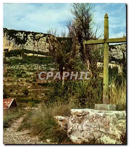 Cartes postales moderne La Falaise Illuminee dans un magnifique decor de rochers de cypres et d'oliviers de cactus et de