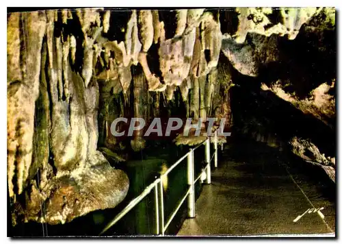 Moderne Karte Les Grottes de Betharram H P les Champignons Renverses