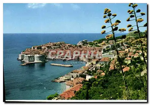 Cartes postales moderne Dubrovnik panorama