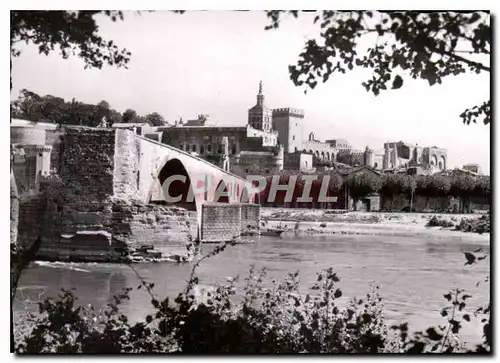Cartes postales moderne Avignon le pont St Benezet le palais des Papes et le Rhone
