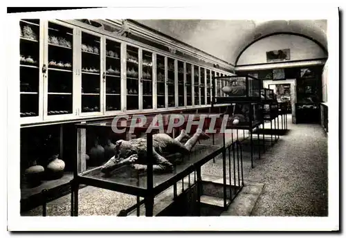 Cartes postales moderne Pompei Interno Museo