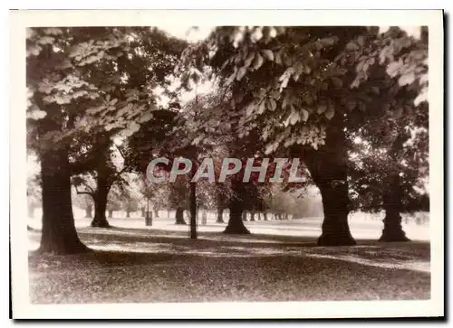 Cartes postales moderne Hampton Court Palace