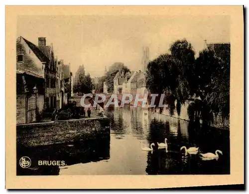Cartes postales moderne Bruges Quai Vert