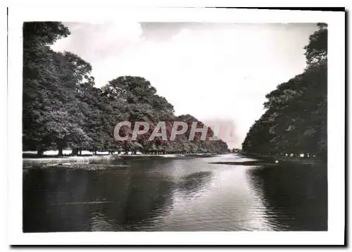 Cartes postales moderne Hampton Court Palace The Canal from the Fountain Garden