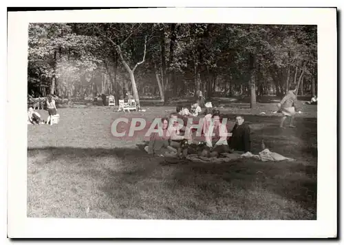 Photo Dejeuner dans l'herbe