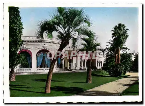 Cartes postales moderne Cannes les jardins et le casino