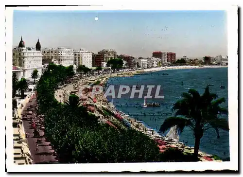 Cartes postales moderne Cannes la plge la Croisette les grands Hotels