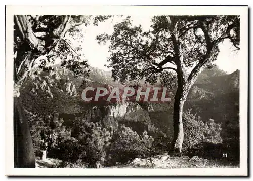 Cartes postales moderne De Toulon a Nice