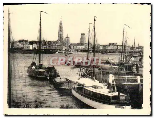 Cartes postales moderne Antwerpen Anvers La Rade