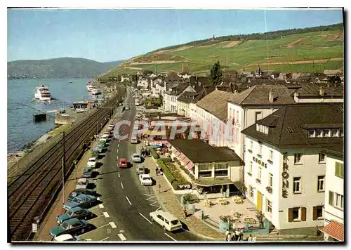 Cartes postales moderne Rudesheim Allee du Rhin