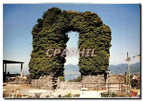 Cartes postales moderne Vue sur Koblenz et Mosel embouchure