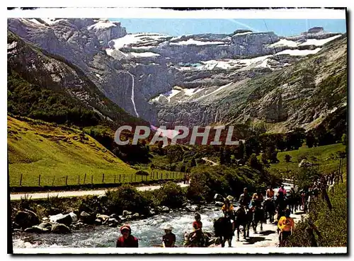 Cartes postales moderne Hautes Pyrenees Gavarnie Caravane de retour du Cirque