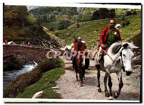 Cartes postales moderne Hautes Pyrenees gavarnie Sur la route du Cirque