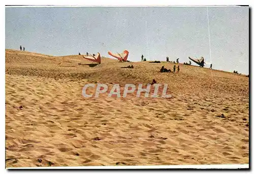 Cartes postales moderne Ailes volantes sur la Dune