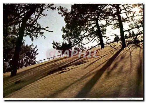 Moderne Karte Soleil couchant sur la Dune