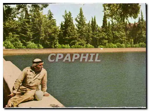 Cartes postales moderne Les etangs de Salomon