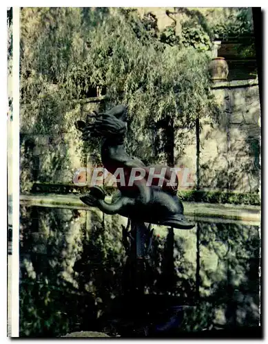 Cartes postales moderne Sunglitter in the weepine willow pond