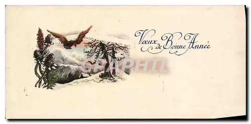 Cartes postales moderne Voeux de Bonne Annee