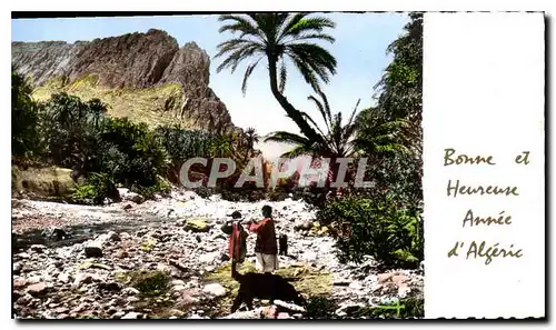 Cartes postales moderne Bonne et heureuse annee d'Algerie